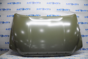 Naked hood Toyota Sequoia 08-16