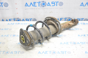 Shock absorber strut assembly front left Ford Escape MK3 13-13 straight cup, blue spring, rusty