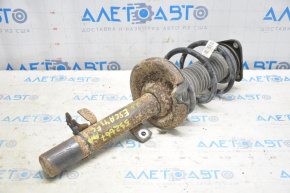 Shock absorber strut assembly front left Ford Escape MK3 13-13 straight cup, blue spring, rusty