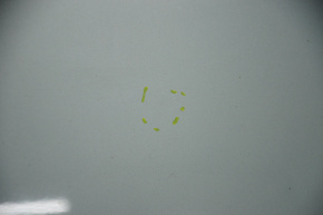 Hood bare Toyota Prius 50 16-22 green 781, pokes