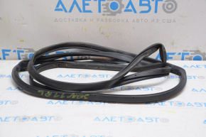 Rear left door seal for Hyundai Sonata 11-15