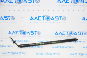 Shock absorber trunk door left Nissan Rogue 14-20 SL SV electric, without chip
