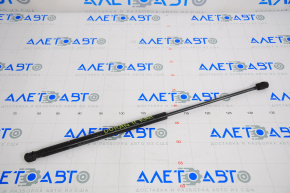 Dodge Durango 11-24 Hood Strut