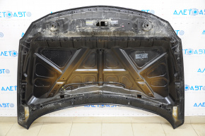Hood bare Nissan Maxima A36 16-23 black KH3, butt