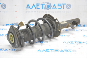 Shock absorber strut assembly front left Ford Escape MK3 13-13 straight cup, spring brown, rusty