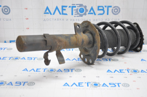 Shock absorber strut assembly front left Ford Escape MK3 13-13 straight cup, spring brown, rusty