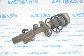 Shock absorber strut assembly front right Cadillac ATS 13-19 rwd, rusty