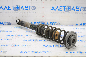Shock absorber strut assembly rear left BMW 5 F10 11-16 RWD