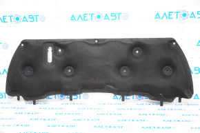 Ford Ecosport 18-22 hood insulation tear