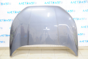 Naked hood Ford Ecosport 18-22 graphite EE