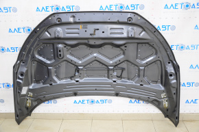 Naked hood Ford Ecosport 18-22 graphite EE