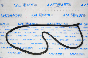 Front left door seal Ford Ecosport 18-20