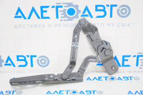 Hood hinge left Ford Ecosport 18-22