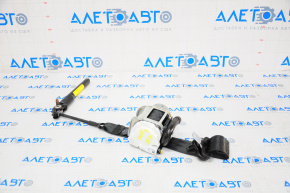 Passenger seat belt Ford Ecosport 18-22 black