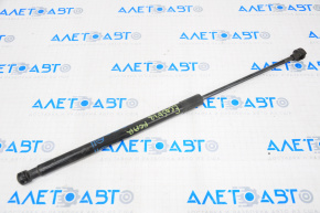 Ford Ecosport 18-22 Tailgate Shock Absorber