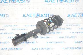 Shock absorber strut assembly front left Ford Ecosport 18-22 2.0