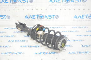 Shock absorber strut assembly front left Ford Ecosport 18-22 2.0