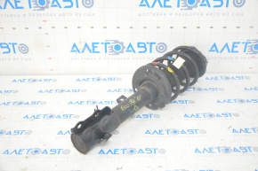 Shock absorber strut assembly front right Ford Ecosport 18-22 2.0
