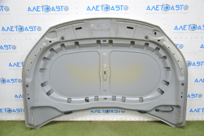 Bonnet naked VW Tiguan 09-18 silver LR7L poke