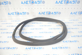 Ford Ecosport Trunk Door Seal 18-22 Rubber