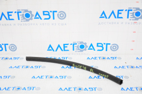 Hood seal left Ford Ecosport 18-22