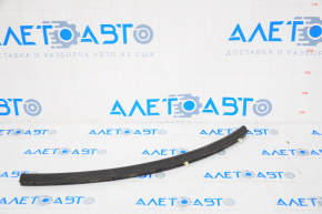 Hood seal right Ford Ecosport 18-22