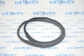 Door seal front left Ford Ecosport 18-22