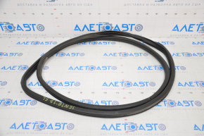 Door seal front left Nissan Sentra 13-19