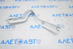 Right hood hinge VW Atlas 18-24 prerest