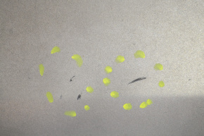 Kia Sorento 11-15 Trunk Door Spoiler Scratches