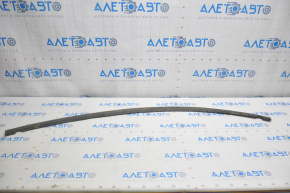 Hood seal long Nissan Murano z51 09-14