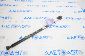 Subaru b9 Tribeca hood strut