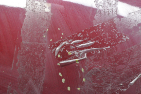 Hood bare Dodge Dart 13-16 maroon PRV dents