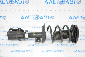 Shock absorber strut assembly front left Ford Escape MK4 20-24 1.5T, 2.0T AWD