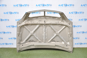 Lexus RX300 98-03 bare hood, gold, bumpers