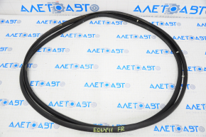Door seal front right Chevrolet Equinox 10-17