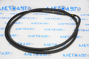Door seal front left Chevrolet Equinox 10-17