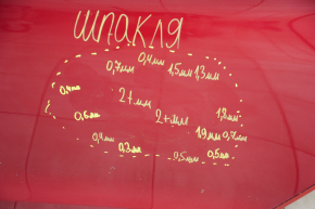 Door bare rear left Hyundai Sonata 11-14 red TR, putty