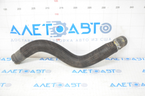 Cooling pipe lower Nissan Altima 19-24 2.5 rear