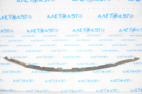 Hood Seal on Bumper Nissan Altima 19-24