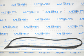 Subaru Legacy 15-19 Front Right Door Seal