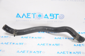 Lower cooling hose Hyundai Sonata 11-14 2.4