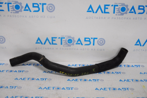 Lower cooling pipe Nissan Sentra 13-19 1.8