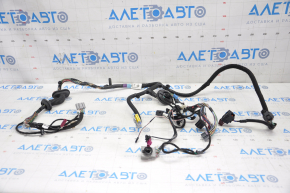 Tesla Model S 12-20 Type 1 Front Left Door Wiring