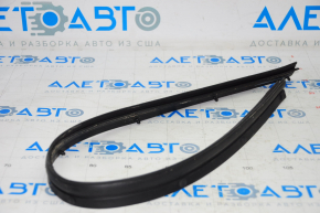 Nissan Sentra 20-24 Front Right Door Seal Lower