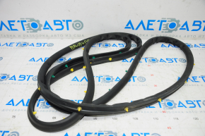 Chevrolet Malibu 16-23 front right door seal