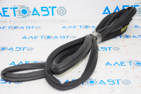 Front left door seal Subaru Impreza 17-23 GK