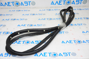 Door seal rear right Chevrolet Malibu 13-15