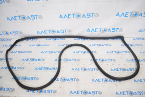 Subaru Outback 15-19 front right door seal