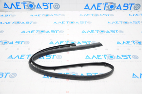 Hood seal on bumper Kia Forte 4d 17-18 rest